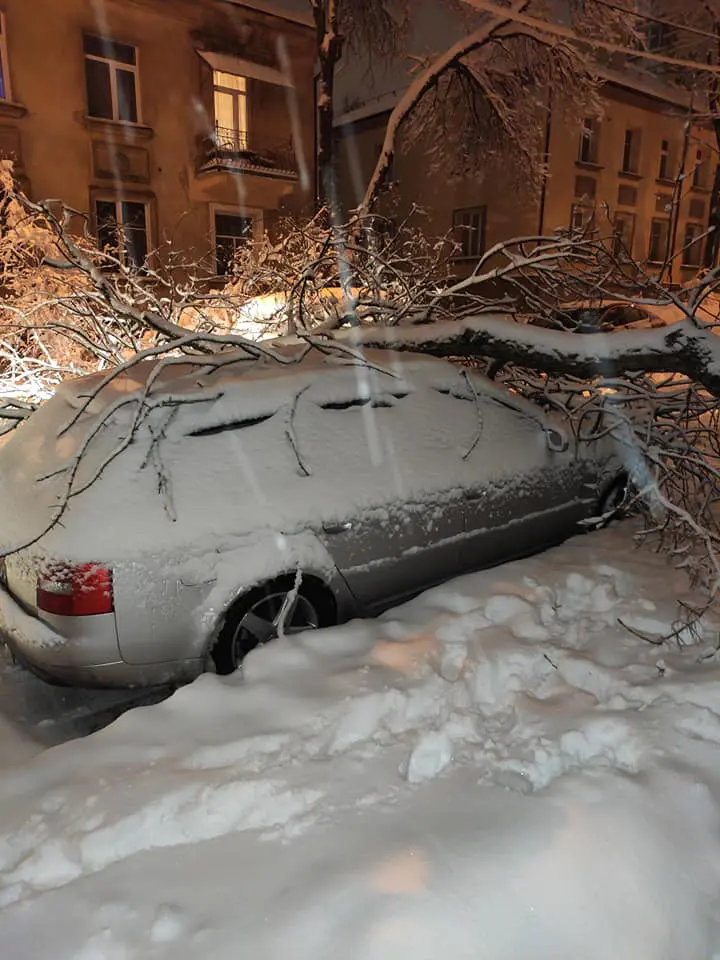 naujininkuose medis uzkrito ant automobilio