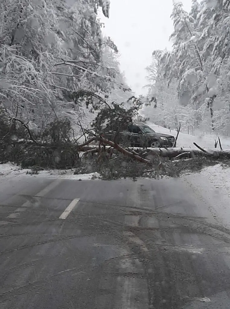 uzblokuotas kelias lentvario gatveje