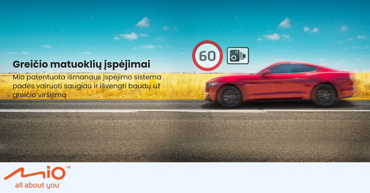 My project SPEED