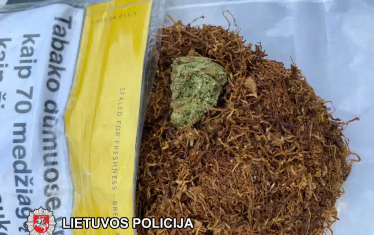 tabakas marichuana zole