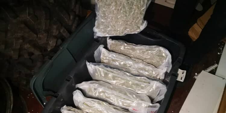 narkotines medziagos kanapes