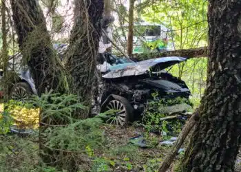 vilniaus rajone audi e tron avarija