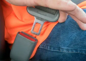 automobilio saugos dirzas