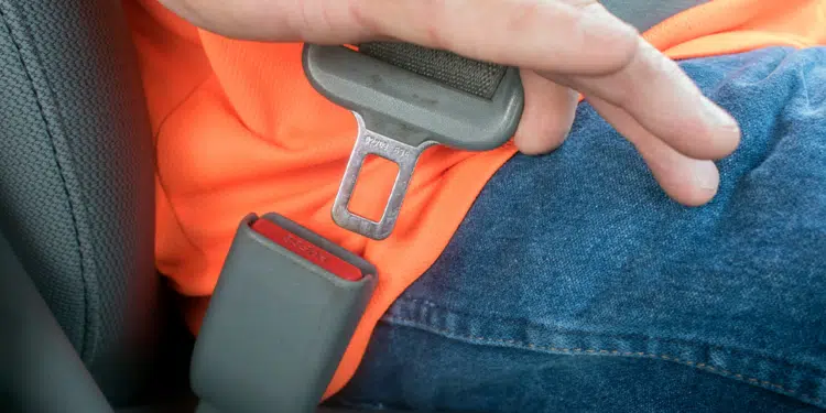 automobilio saugos dirzas
