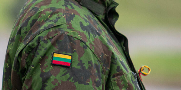 lietuvos kariuomenes karys