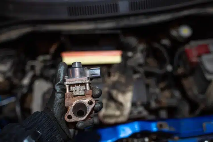 egr voztuvas