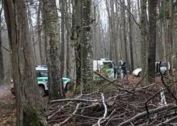 policijos pareigunai miske