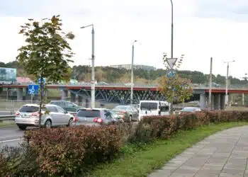 savanoriu ziedas