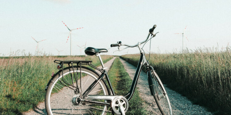 dviratis ant kelio pievoje