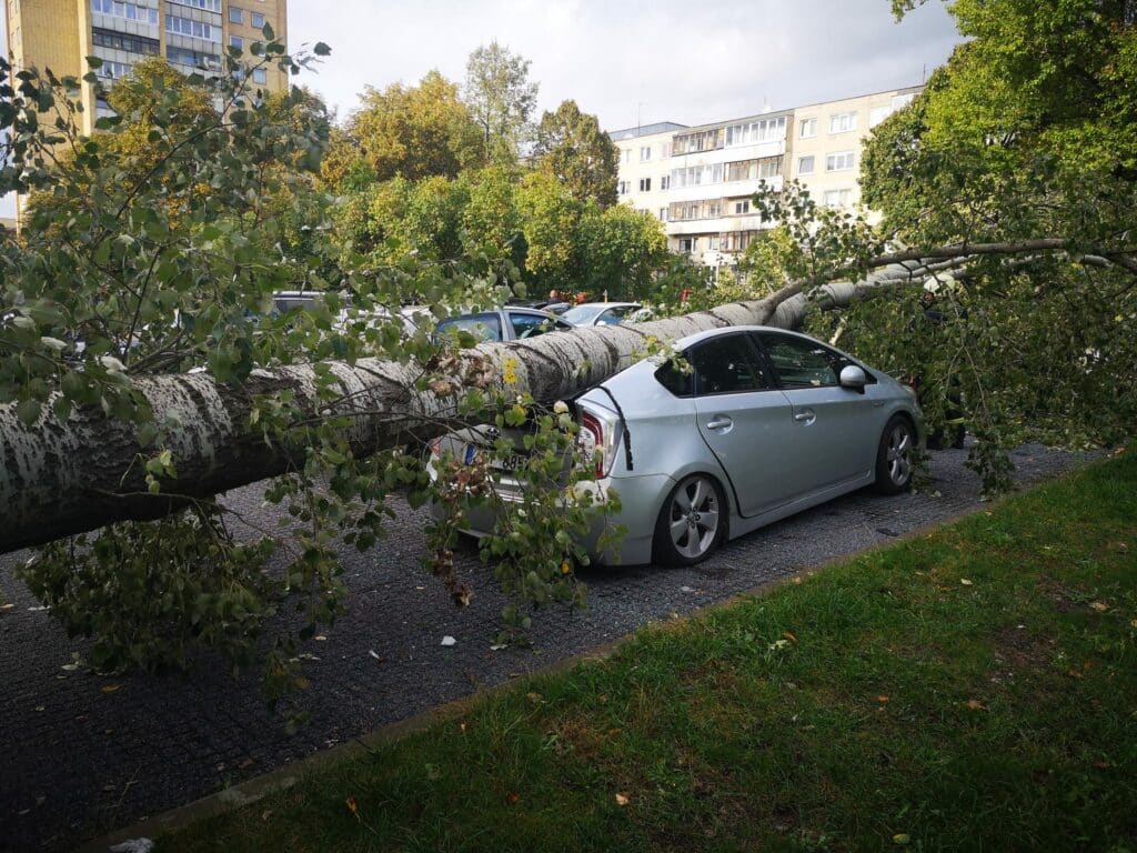 Vilniuje nukritęs medis apgadino tris „Toyota Prius“ automobilius