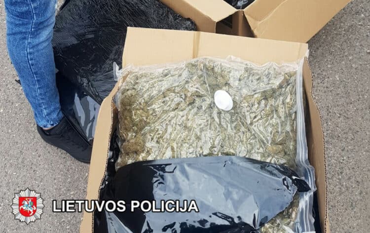 narkotine medziaga kanape