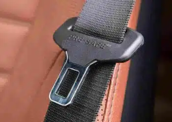 automobilio saugos dirzas