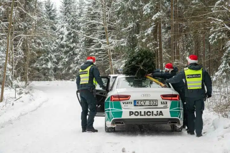 policijos pareigunu tarnybinis automobilis audi policijos pareigunai miskas ziema egle