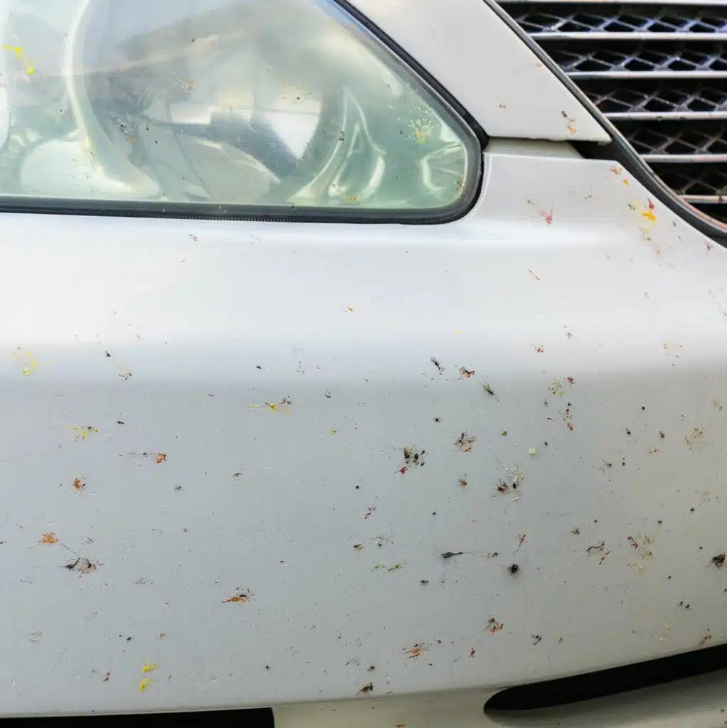 vabzdziai ant automobilio kebulo