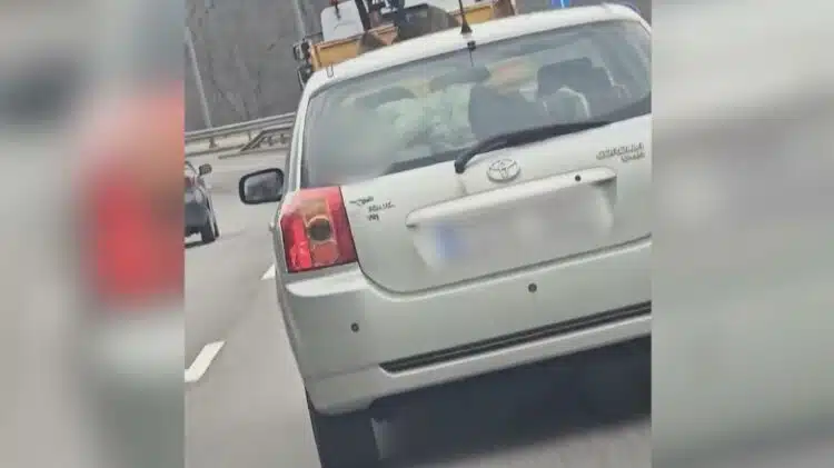 vaikas vezamas automobilio bagazineje