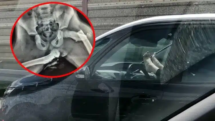 keleivio kojos ant automobilio paneles