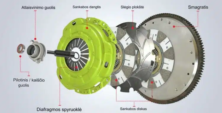 sankabos struktura