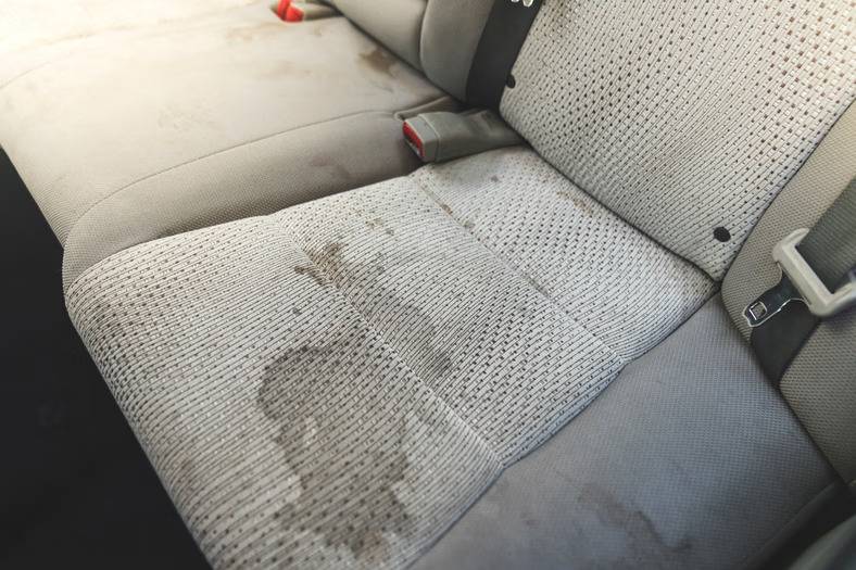 demes ant automobilio sedyniu