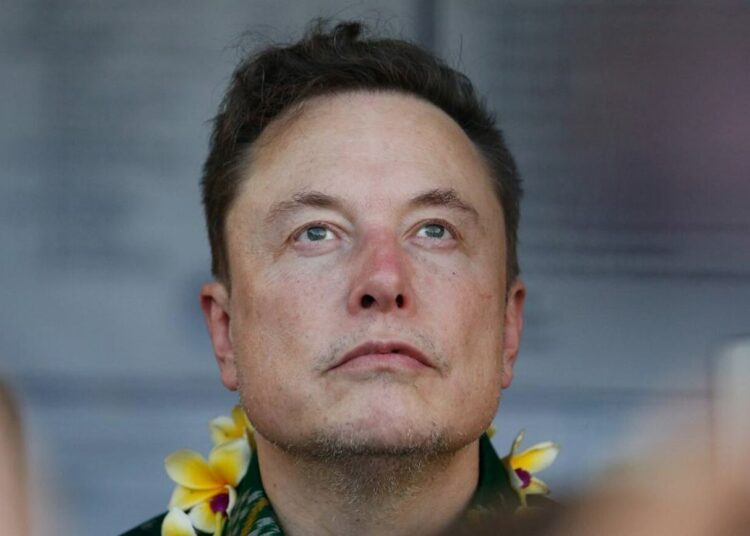 elonas muskas tesla