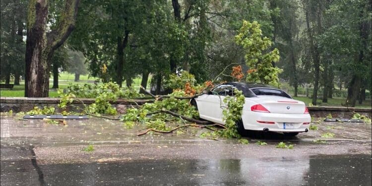 audra vilniuje medis nukrites ant bmw automobilio