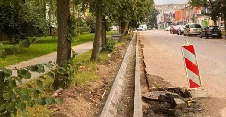 klaipeda zardininku gatve