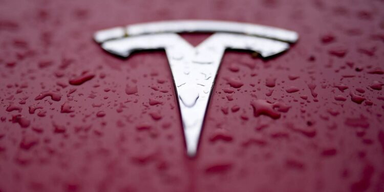 tesla logotipas