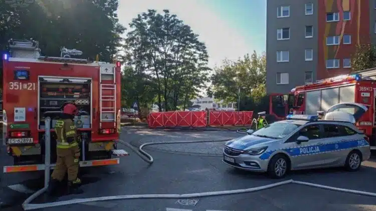Per elektromobilio gaisrą viduje sudegė 73-jų metų vyras