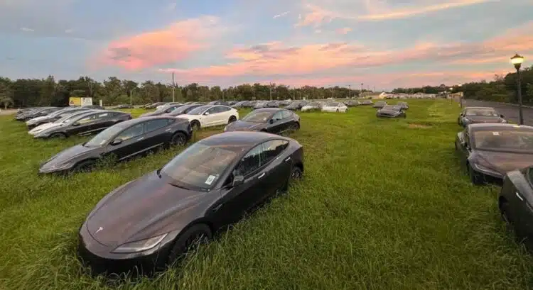 nauji tesla iauge i zole