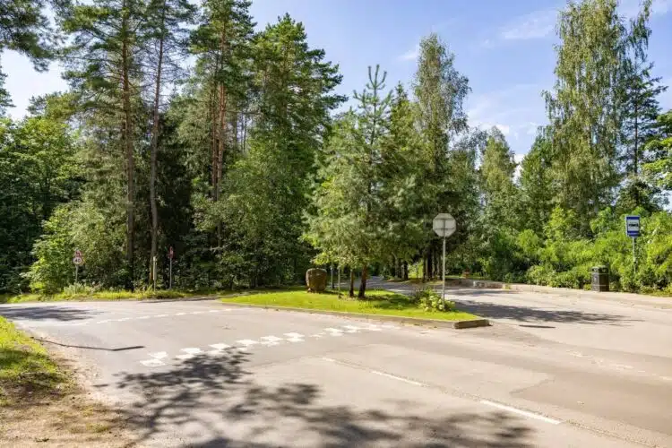 satrijos raganos mileisiskiu gatviu sankryza