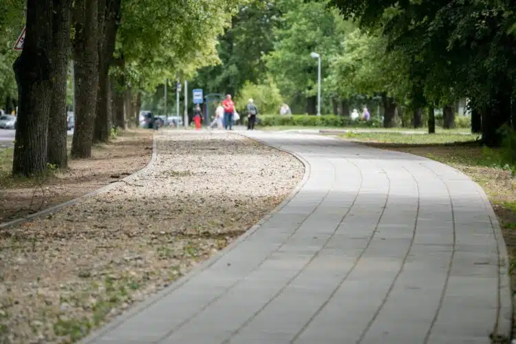 pesciuju takas