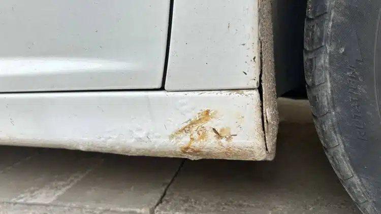 rudijantis automobilio slenkstis