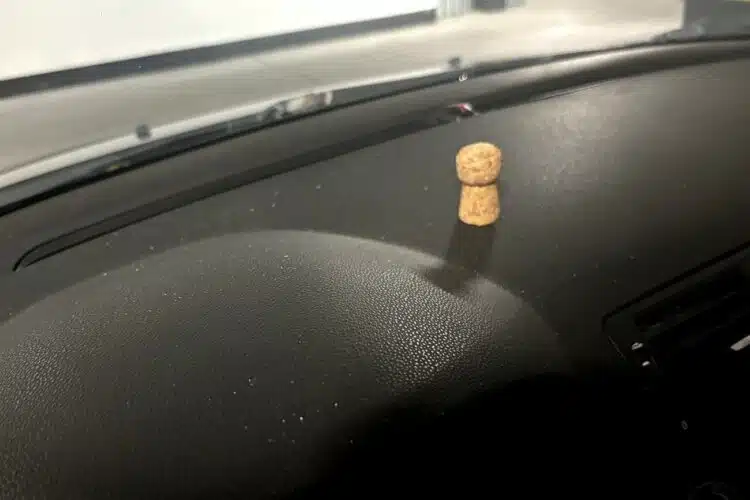 naminis oro gaiviklis automobiliui kamstis nuo vyno