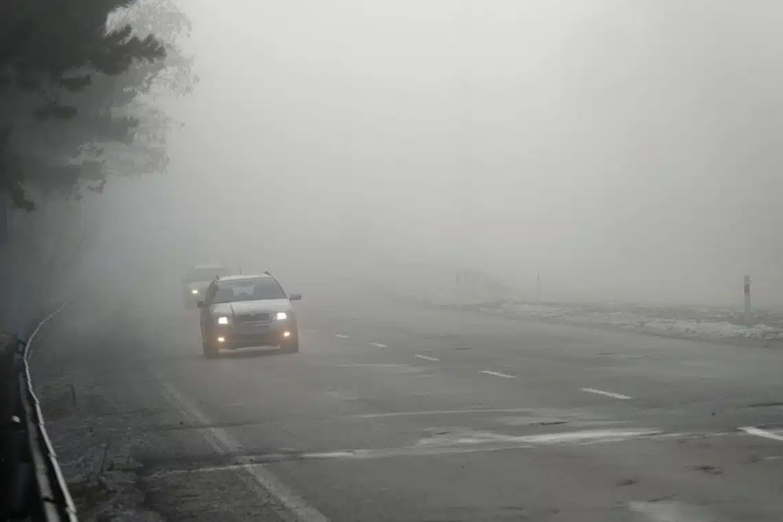 rukas kelyje