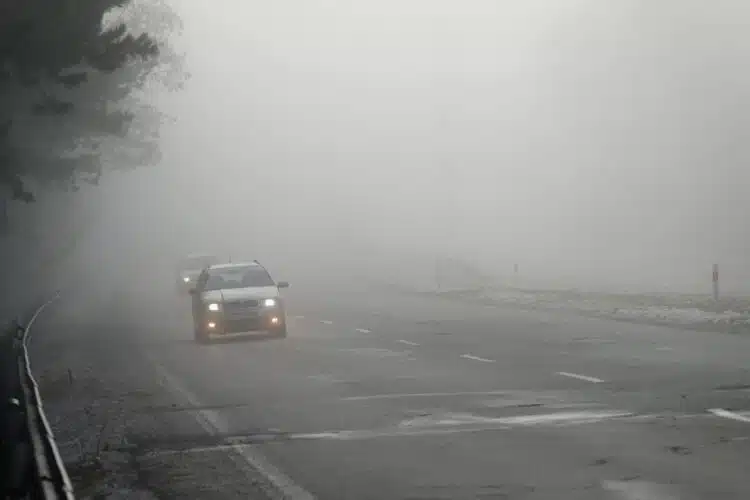 rukas kelyje