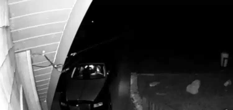 Kalifornijos sukčiai sugauti persirengę lokiu, kad apgadintų Rolls Royce