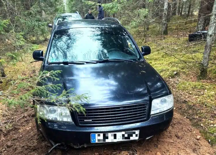 Kontrabanda Audi Miškas 1