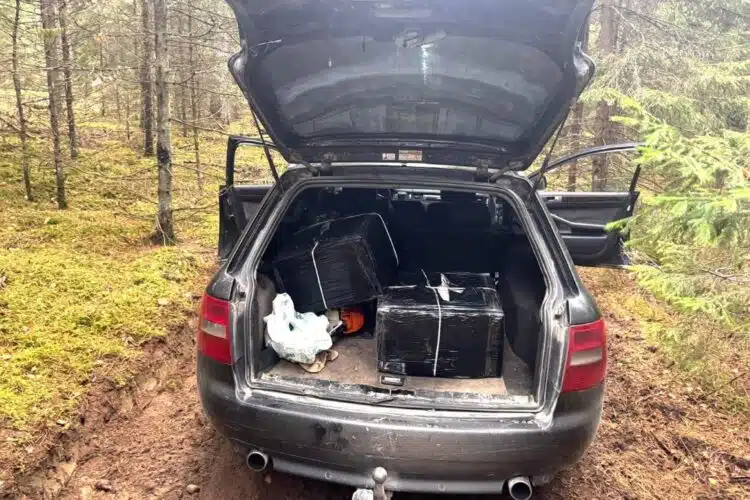 VSAT kadrai iš įvykio vietos