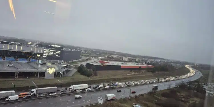 kamstis vilniuje pilaite