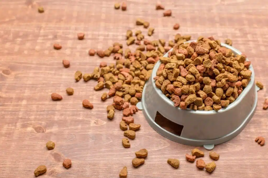 Dried food for dogs or cats.