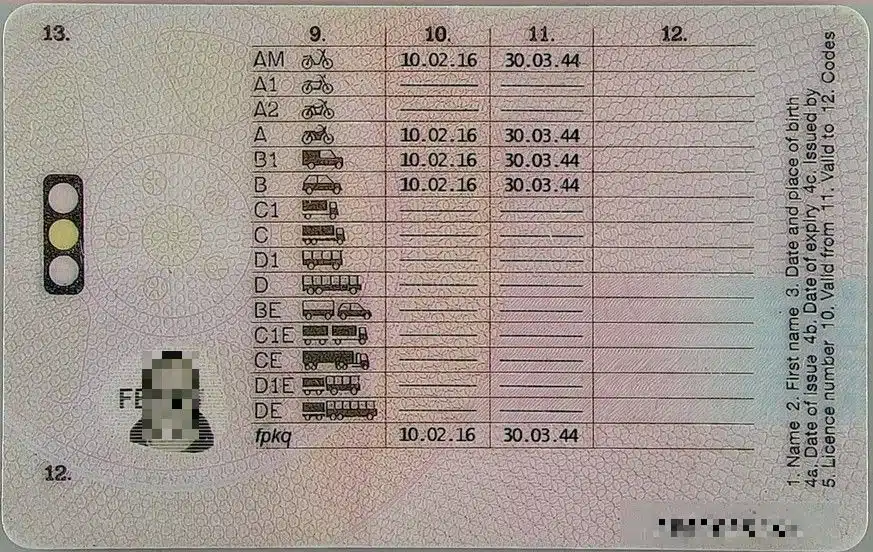 Suklastotas Vairotojo Pazymejimas