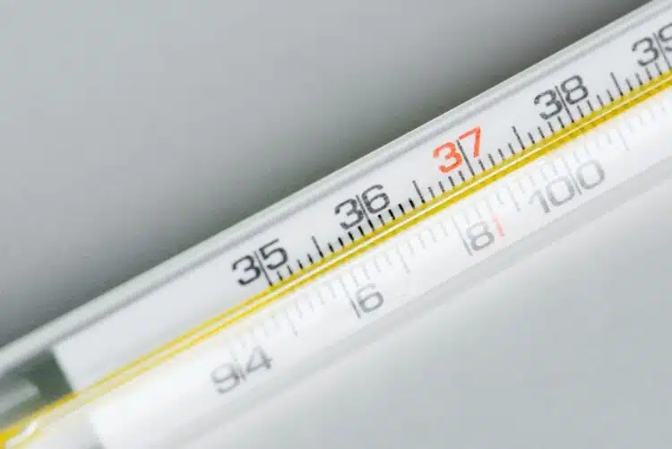 termometras kuno temperatura