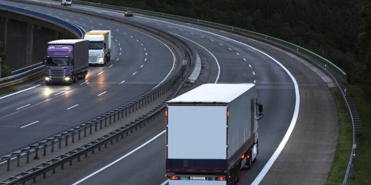 vilkikas sunkvezimis Vokietijos tarnybos vis dažniau fiksuoja sukčiavimo atvejus kelių transporto srityje