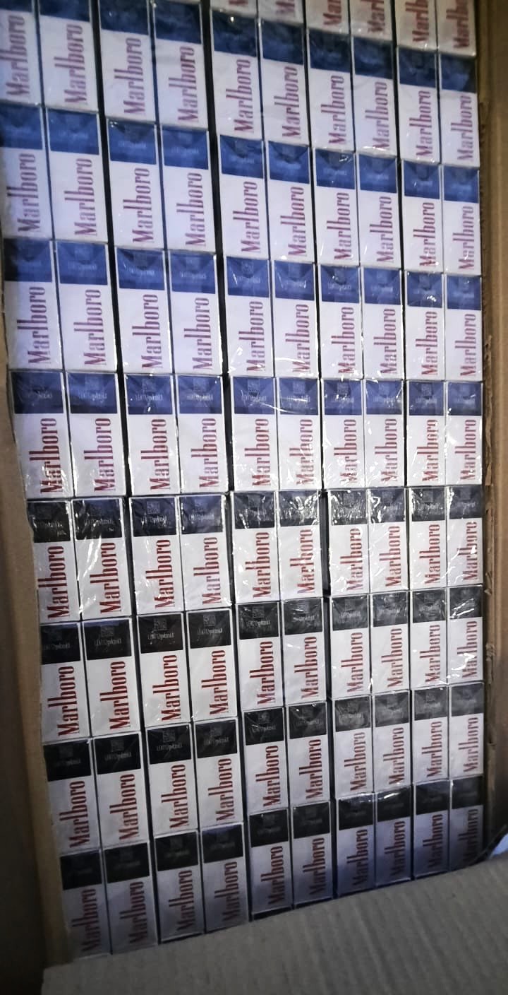 20250224 cig Klaip 8 1