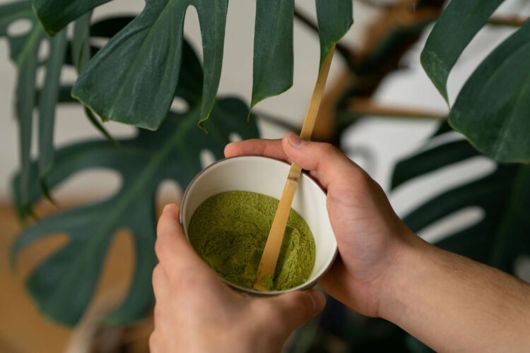 Asmuo geriantis puodelį matcha arbatos arbata