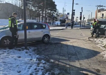 Perėjoje partrenkta moteris: kas kaltas – vairuotojas ar pėsčioji?