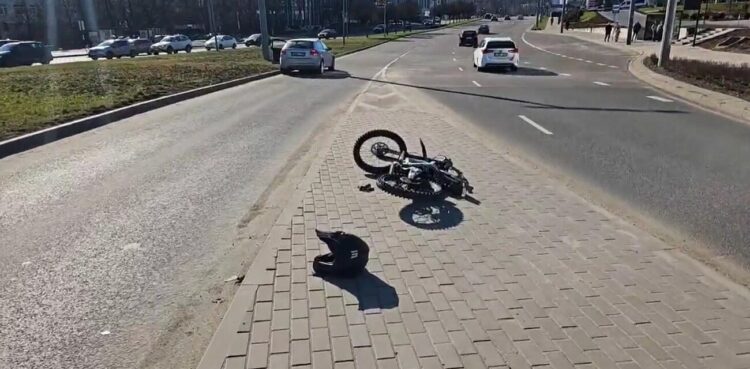 STOP kadras iš „Hibriadinis paparacas“ vaizdo įrašo