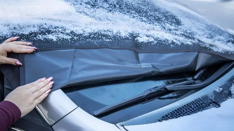 automobilio apsauga nuo sniego
