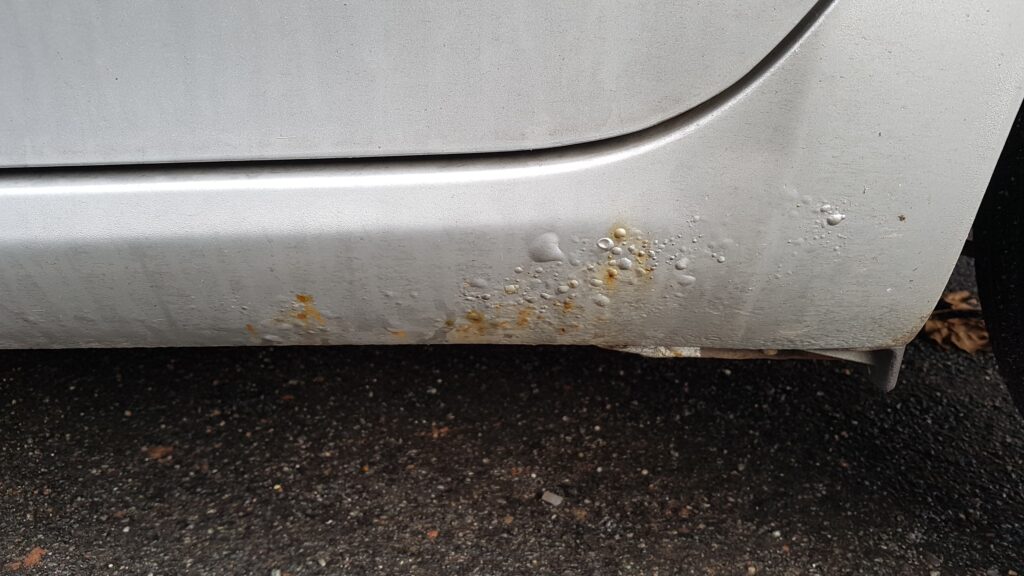 toyota auris kebulo rudys korozija