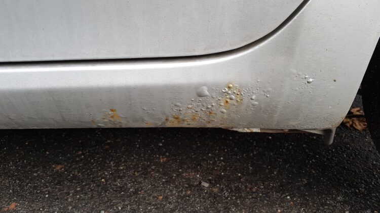 toyota auris kebulo rudys korozija