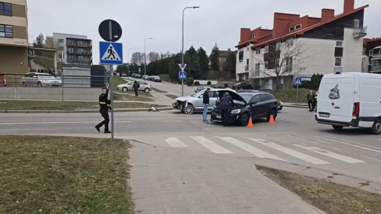 STOP kadras iš „Hibriadinis paparacas“ vaizdo įrašo